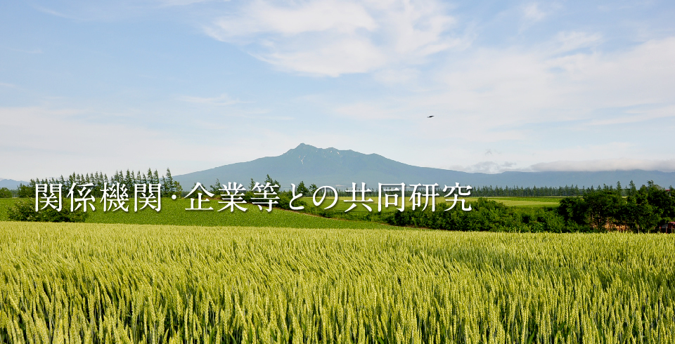 関係機関企業等との共同研究